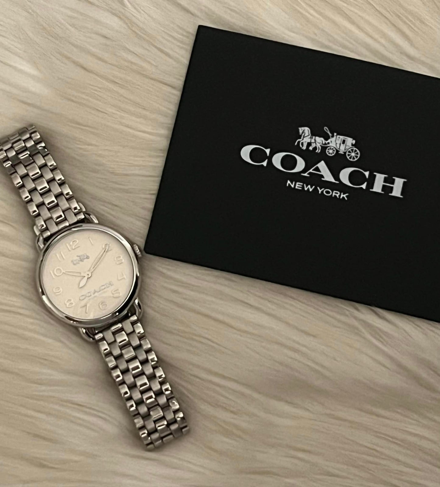 Coach Women’s Delancey Silver Quartz Watch