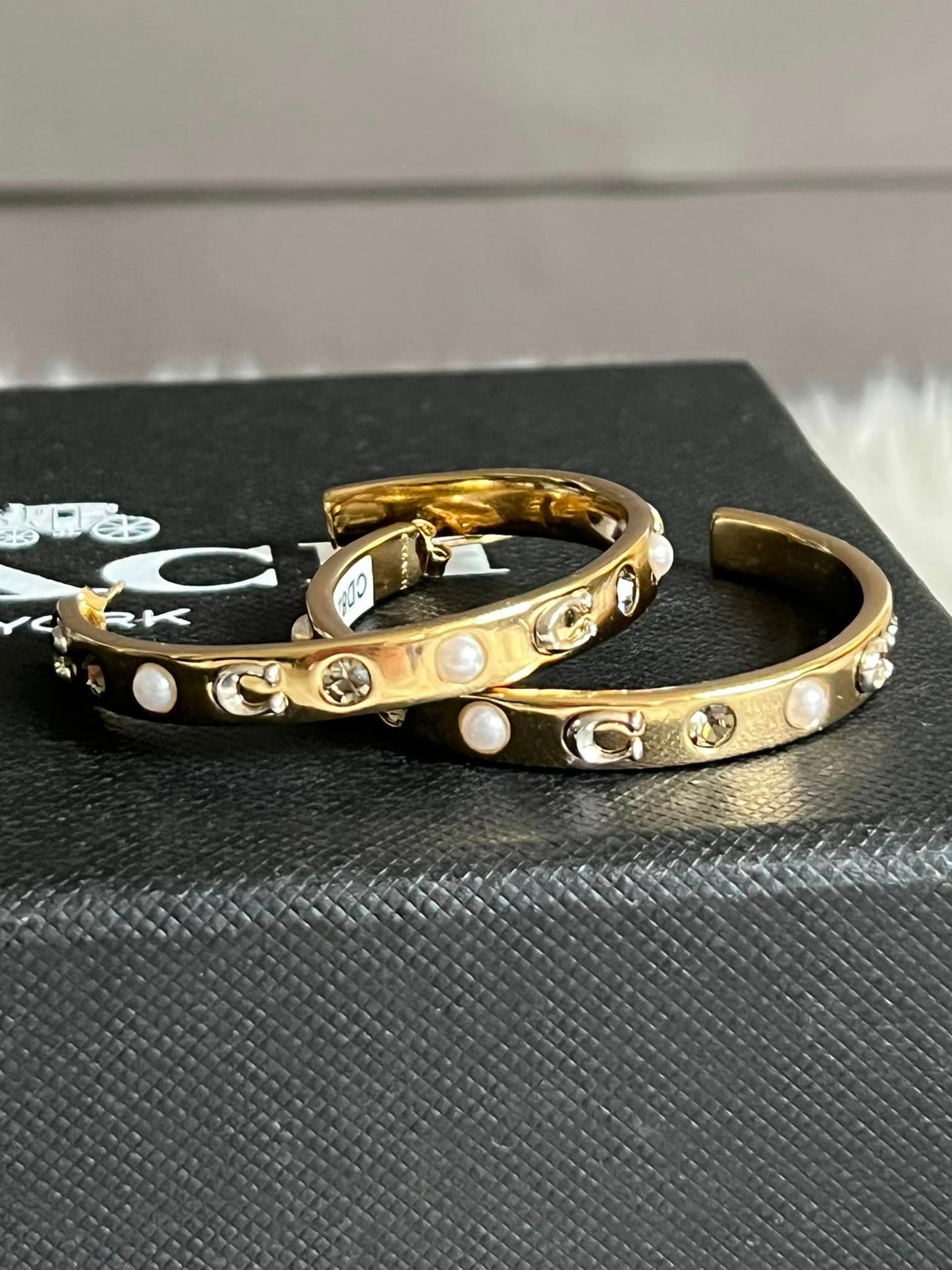 Coach Pegged Signature and Stone Large Hoop Earrings