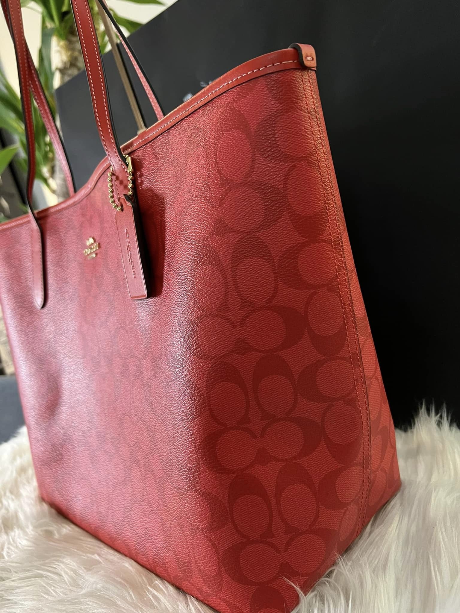 Coach Bags Coach City Tote, Brown/Red