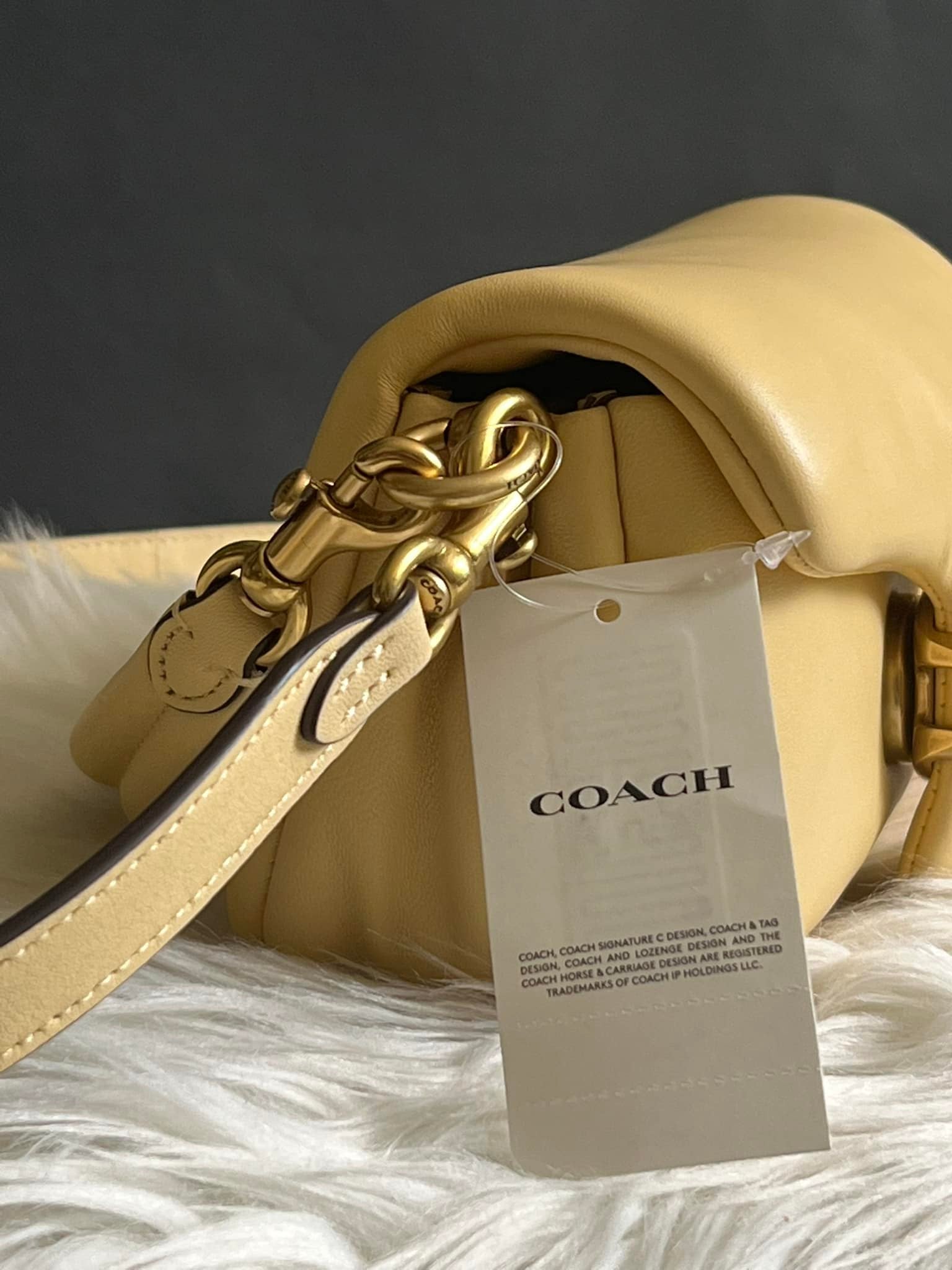 Coach Pillow Tabby Shoulder Bag 18 – Club de Mode