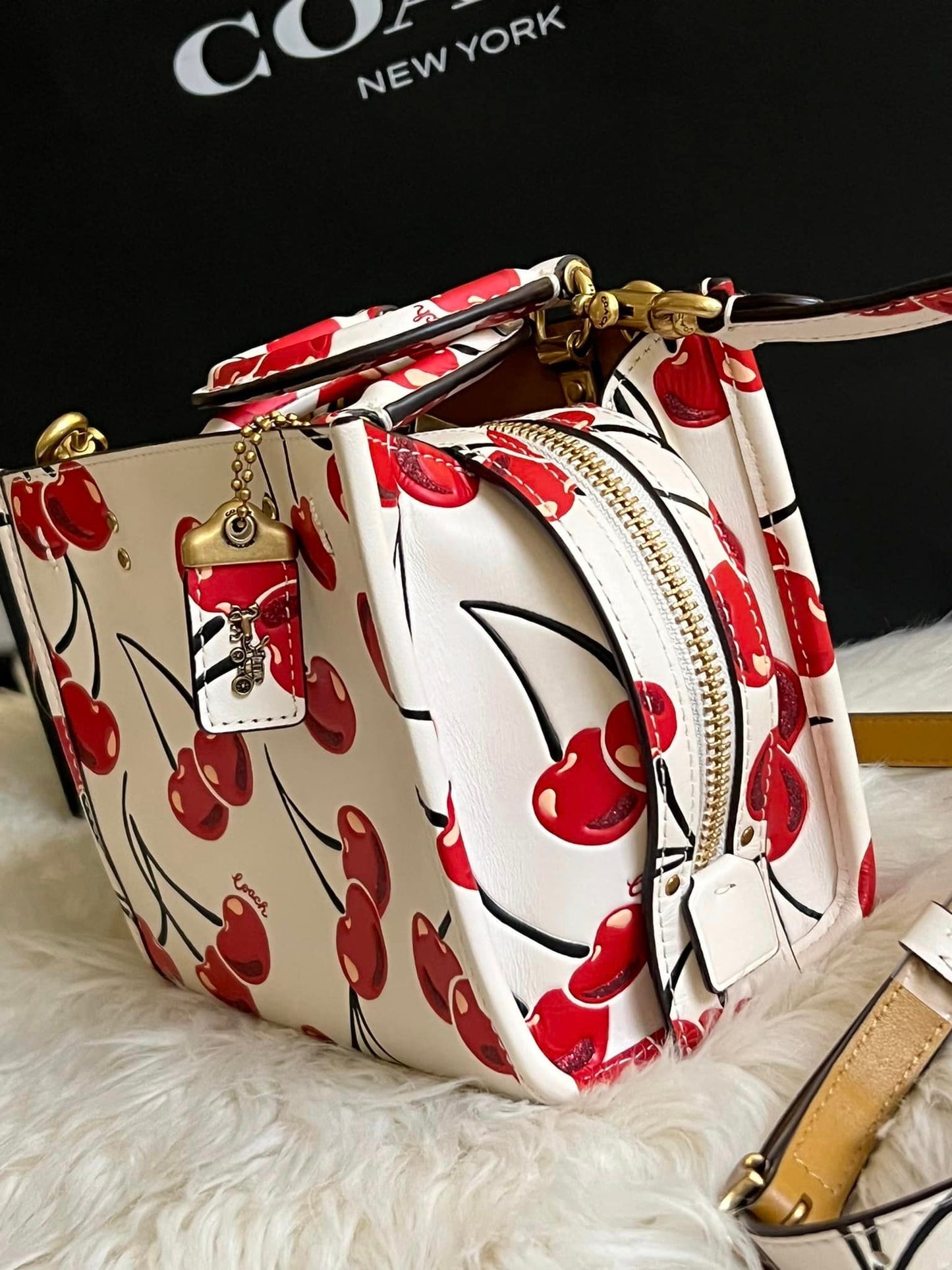 Coach Rogue 17 with Cherry Print