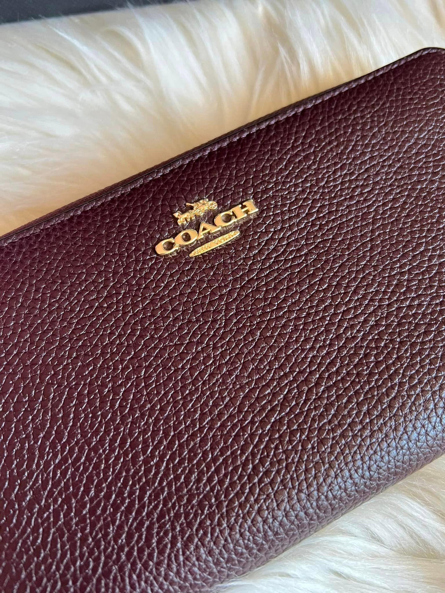 Coach Leather Accordion Zip Wallet