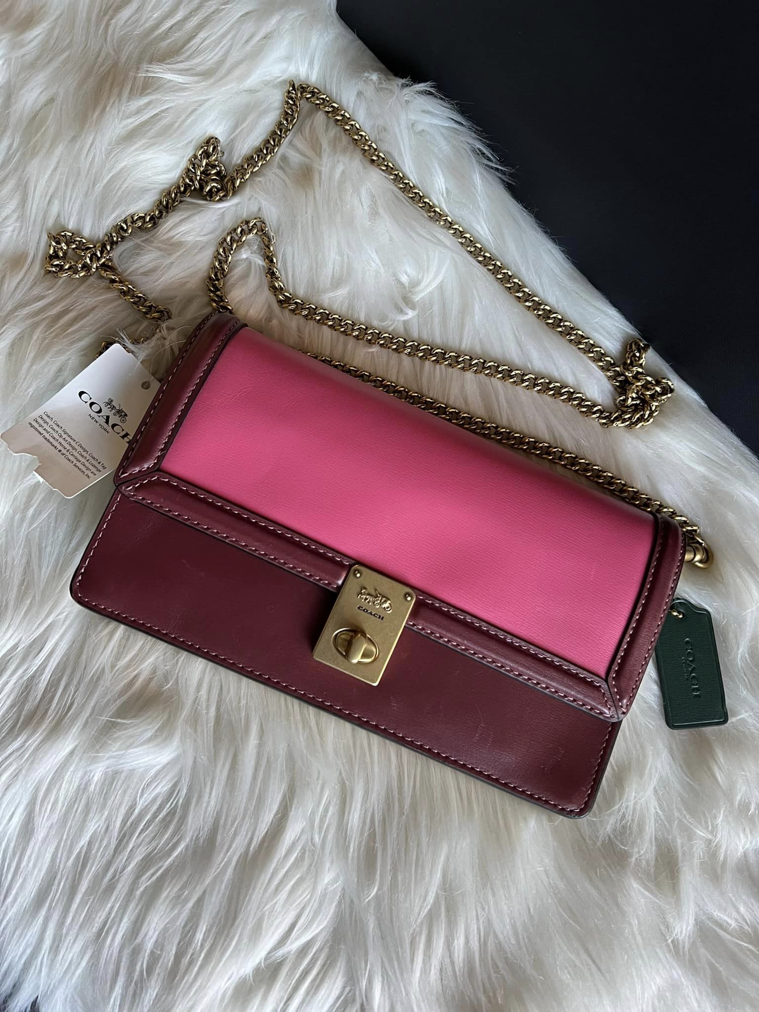 Coach Hutton Clutch in Colorblock - Club de Mode