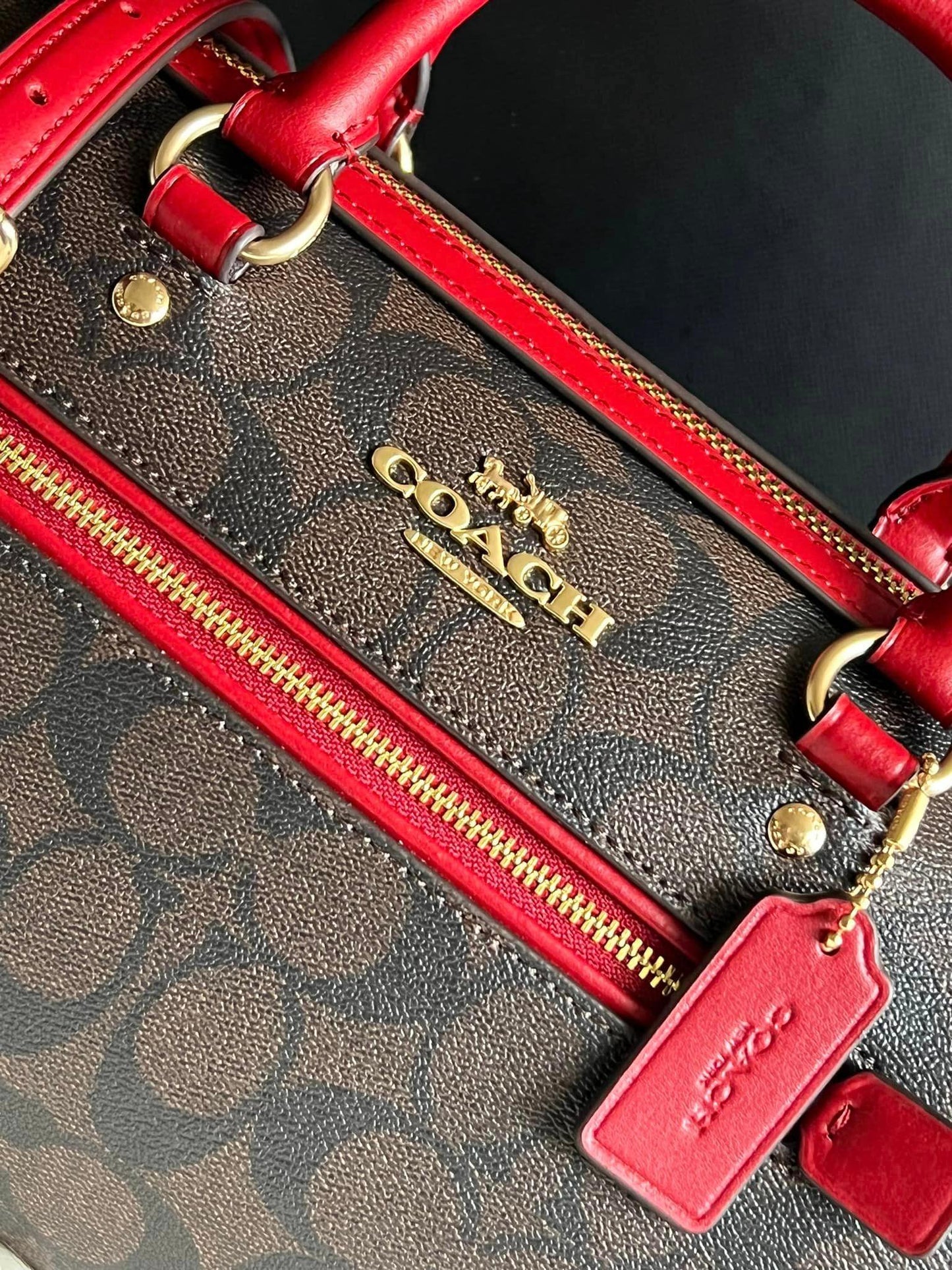 Coach Rowan Satchel in Signature Canvas