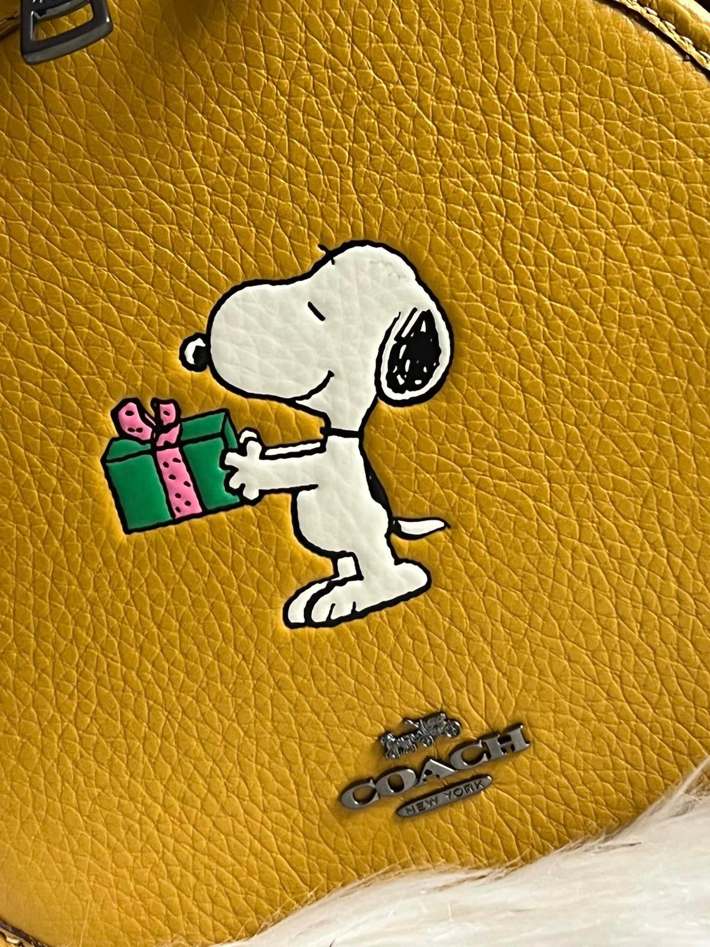 Coach X Peanuts Canteen Crossbody with Snoopy Present Motif
