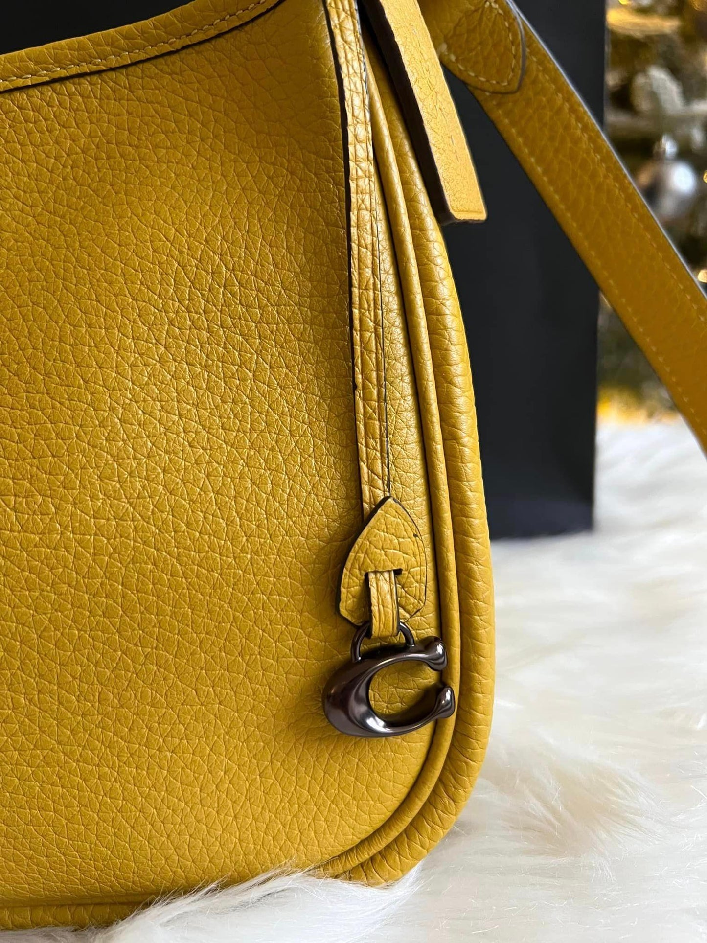 Coach Cary Crossbody