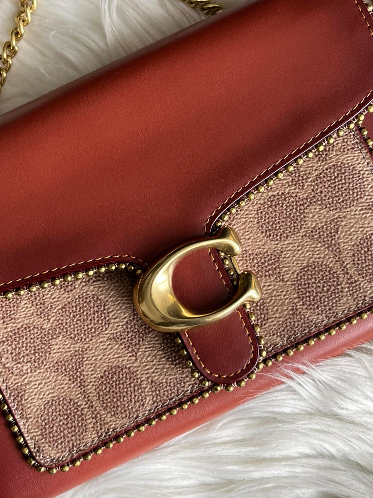 Coach Tabby Chain Clutch in Signature Canvas with Beadchain