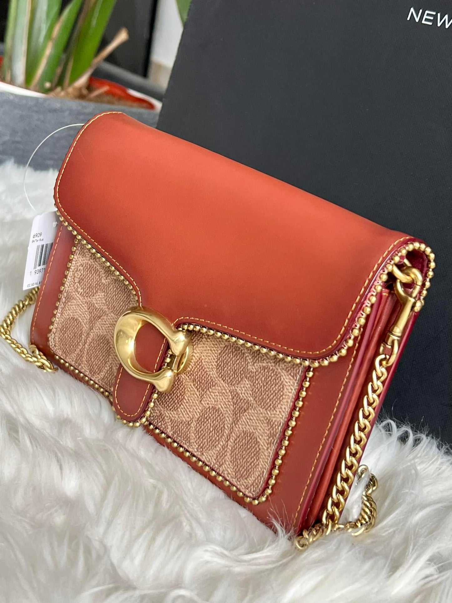 Coach Tabby Chain Clutch in Signature Canvas with Beadchain