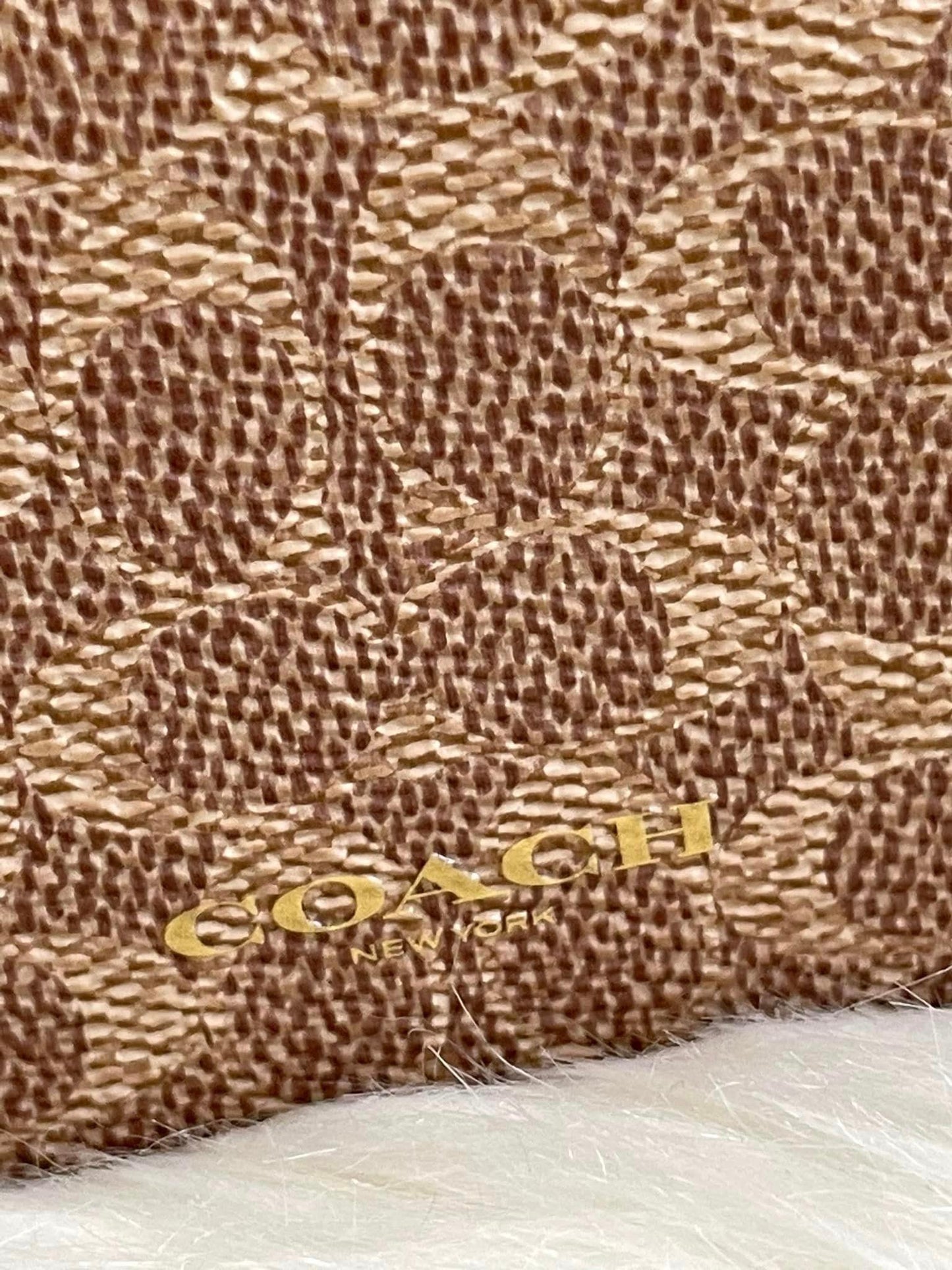 Coach Sunglass Case Bag Charm in Signature Canvas