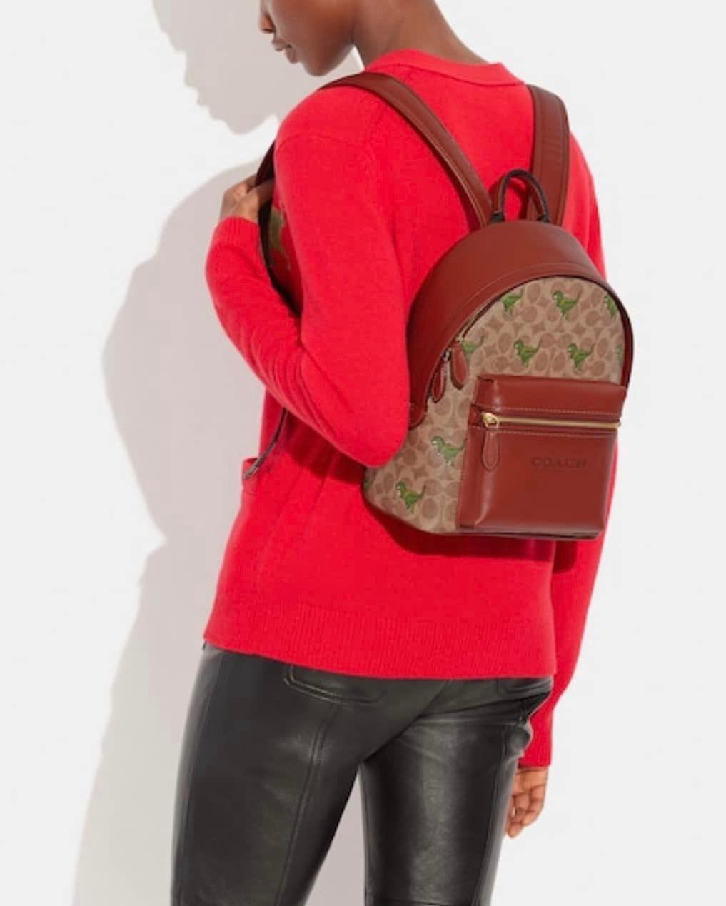 Coach Charter Backpack 24 In Signature Canvas with Rexy Print