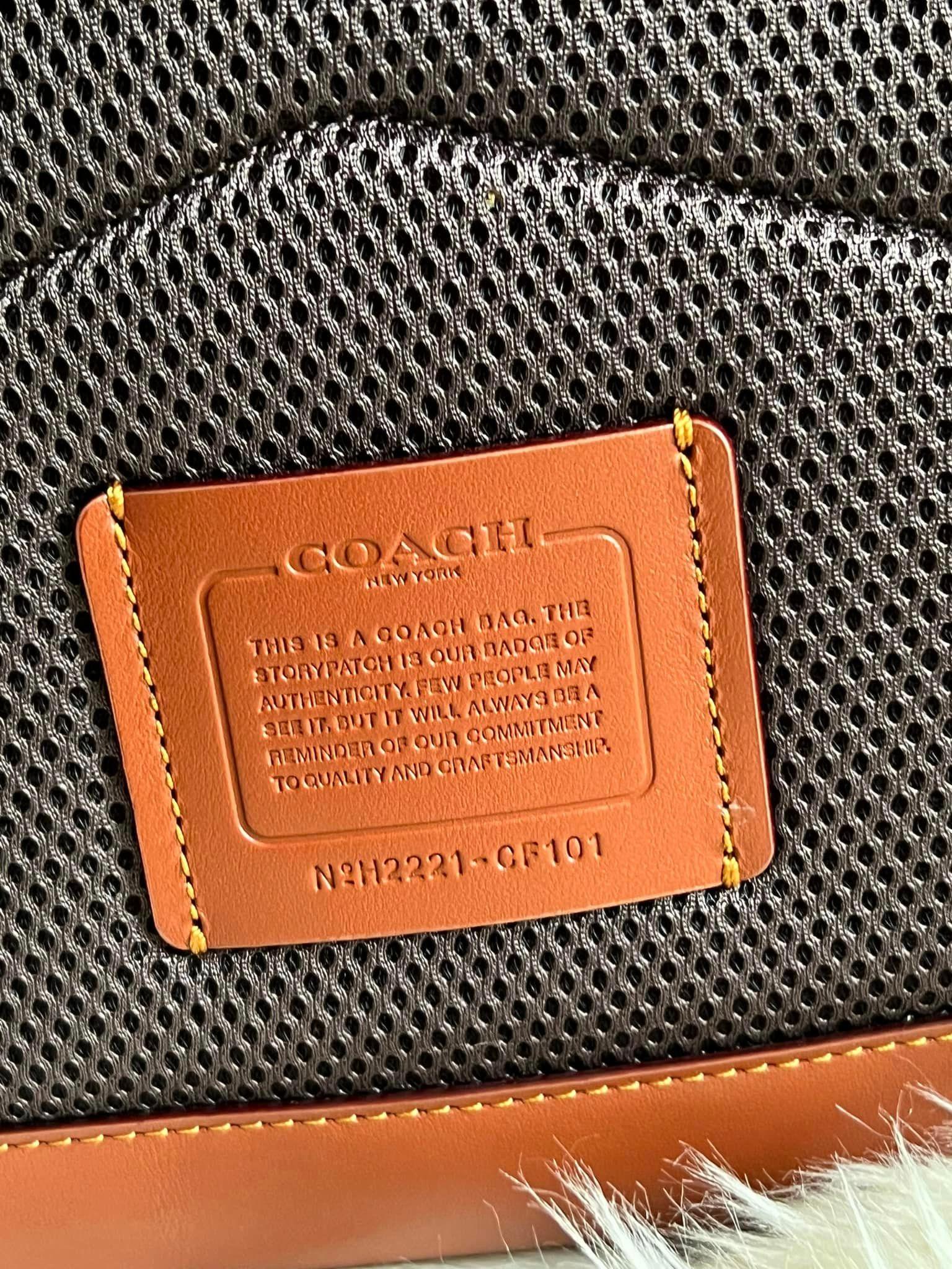 coach dino backpack Coach Charter Backpack 24 In Signature Canvas with Rexy Print – Club de Mode
