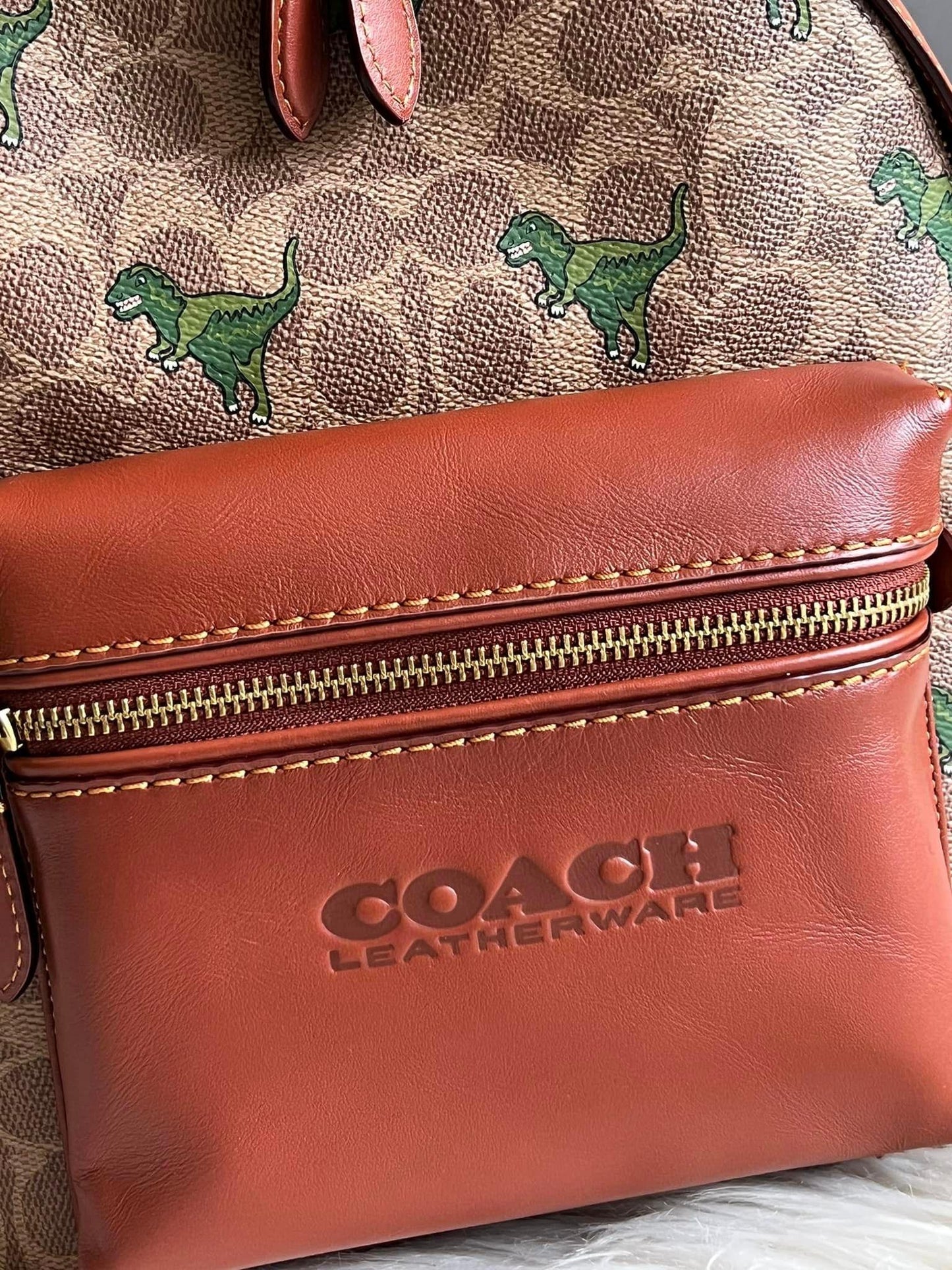 Coach Charter Backpack 24 In Signature Canvas with Rexy Print