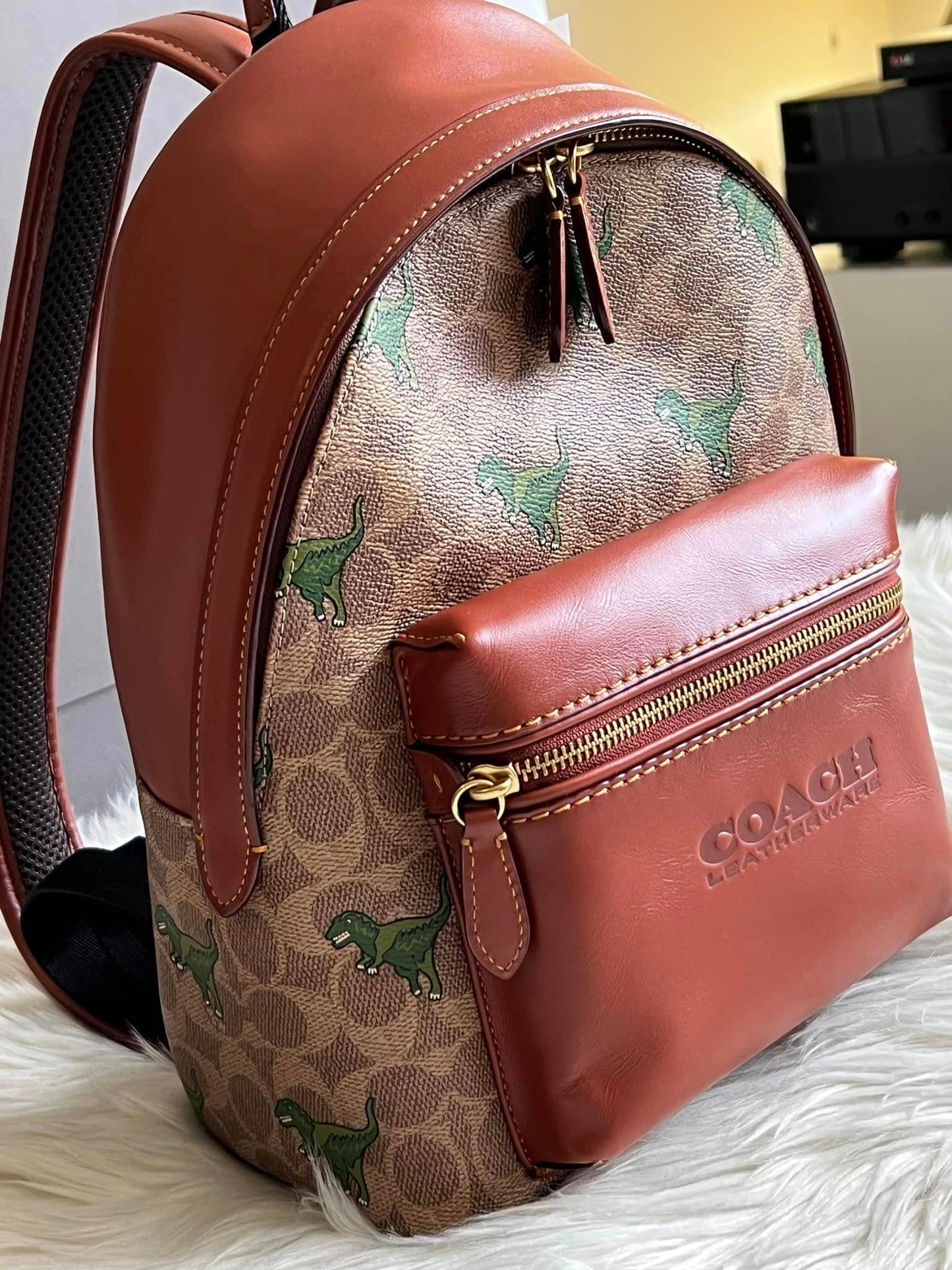 Coach Charter Backpack 24 In Signature Canvas with Rexy Print