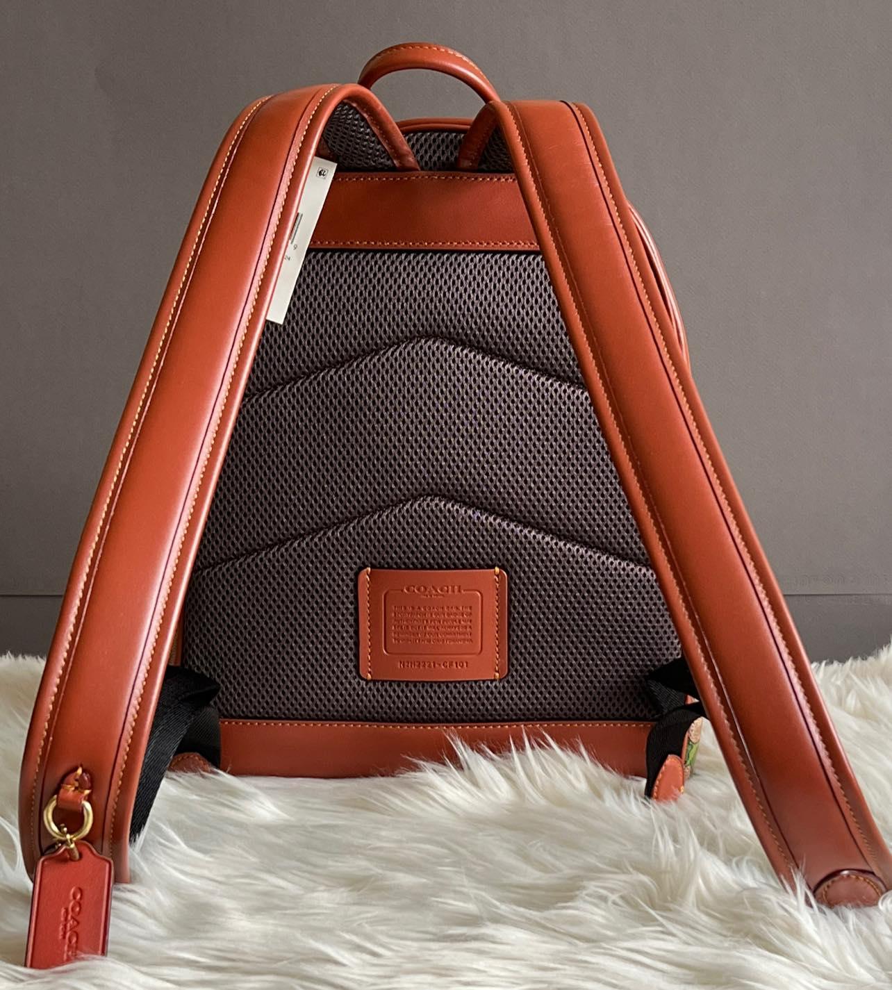 Coach Charter Backpack 24 In Signature Canvas with Rexy Print