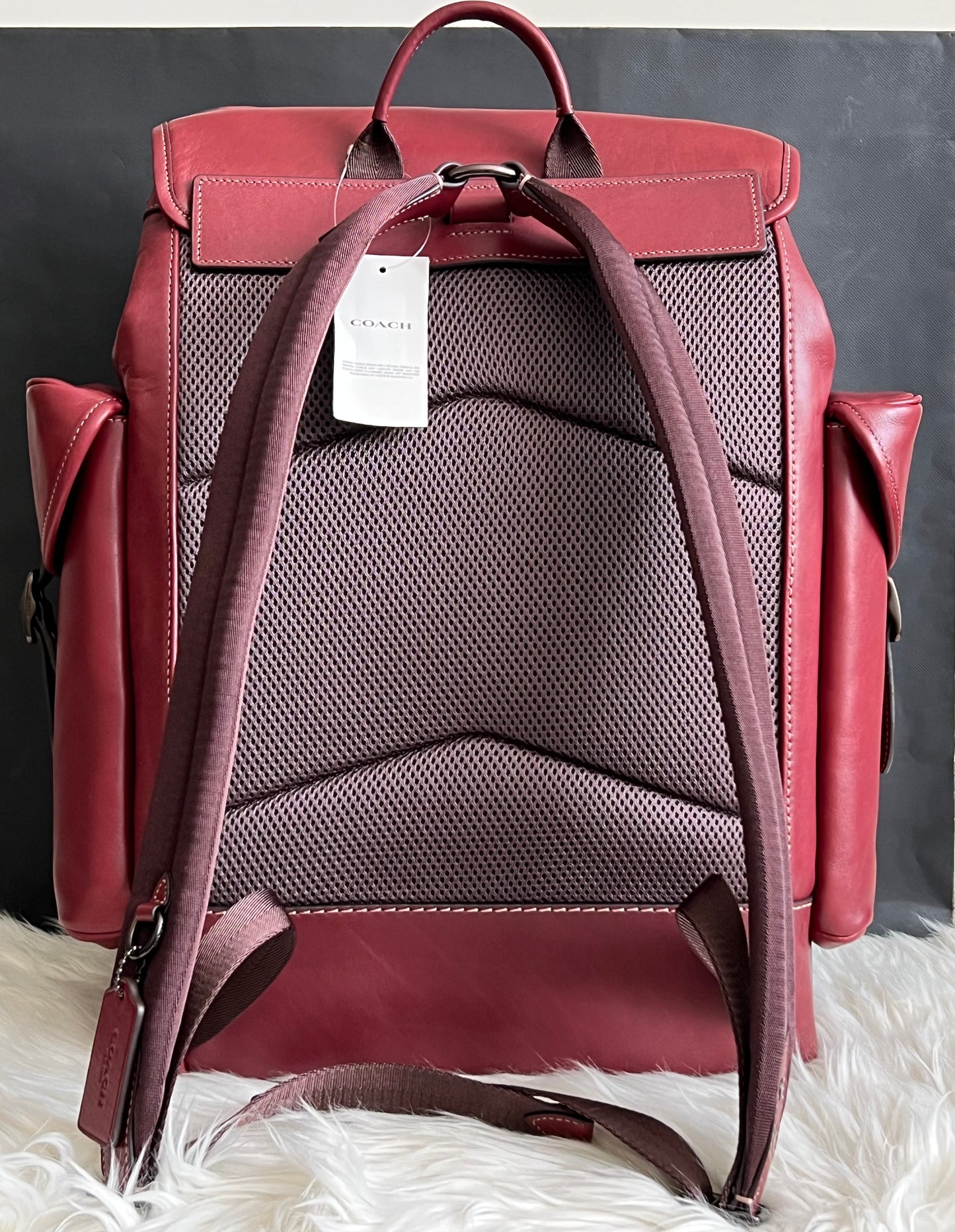 Coach Hitch Backpack