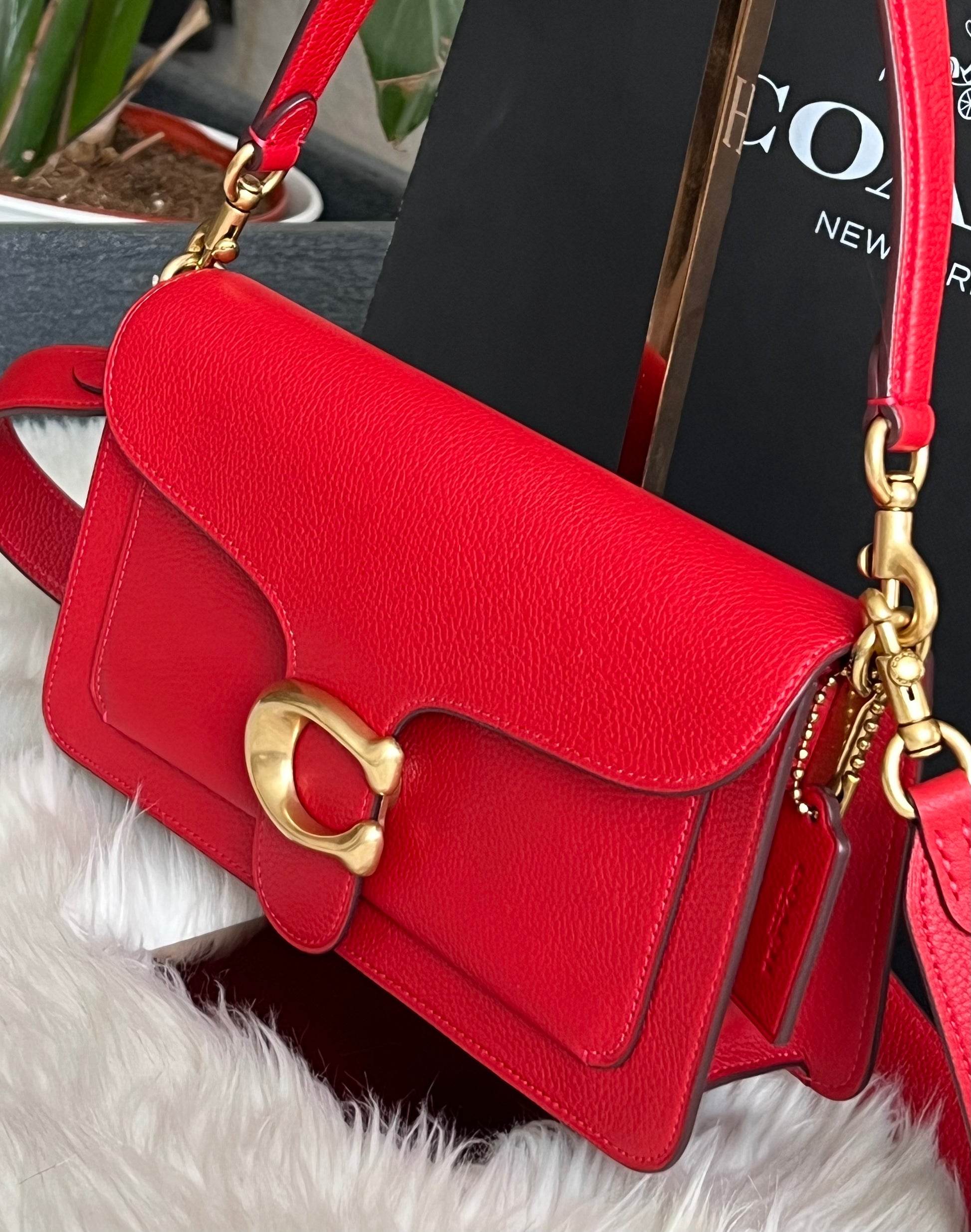 Coach tabby 26 red apple sale