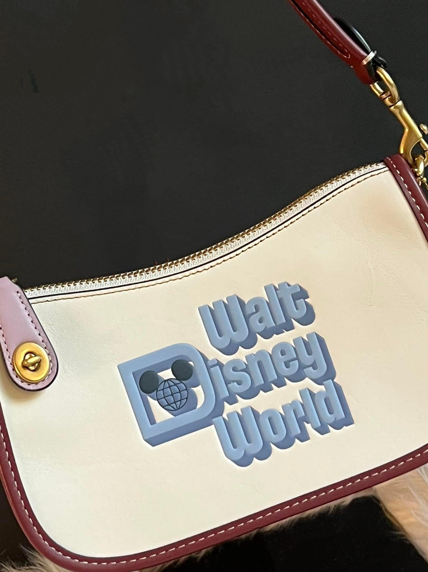 Coach X Disney Swinger 20 with Walt Disney World Motif