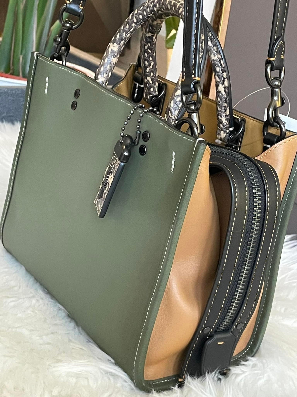 Coach Rogue Rockets Coach Rogue 25 in Colorblock with Snakeskin Detail – Club de Mode
