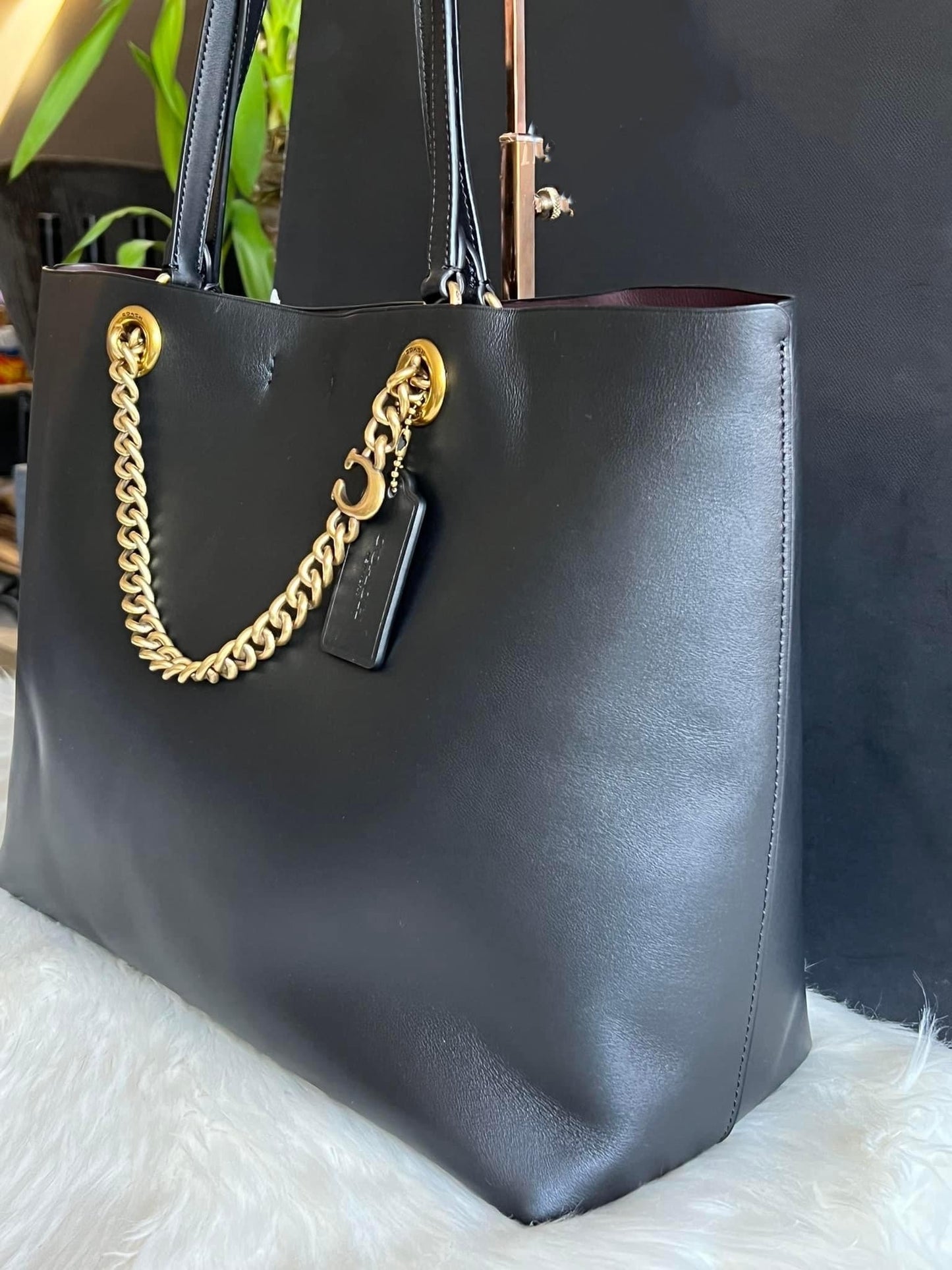 Coach Signature Chain Central Tote