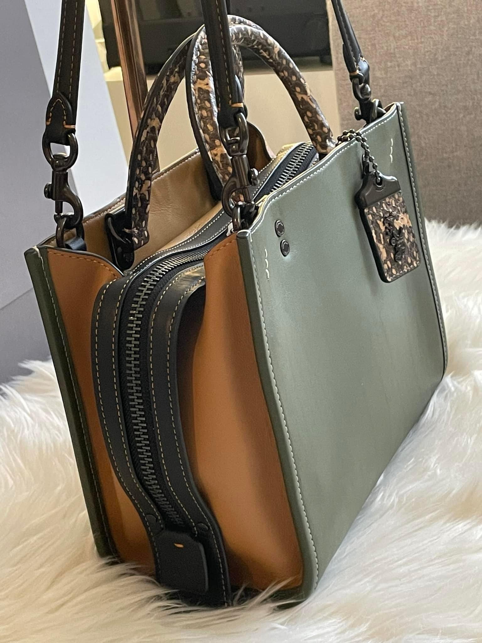 Coach Rogue 25 in Colorblock with Snakeskin Detail – Club de Mode