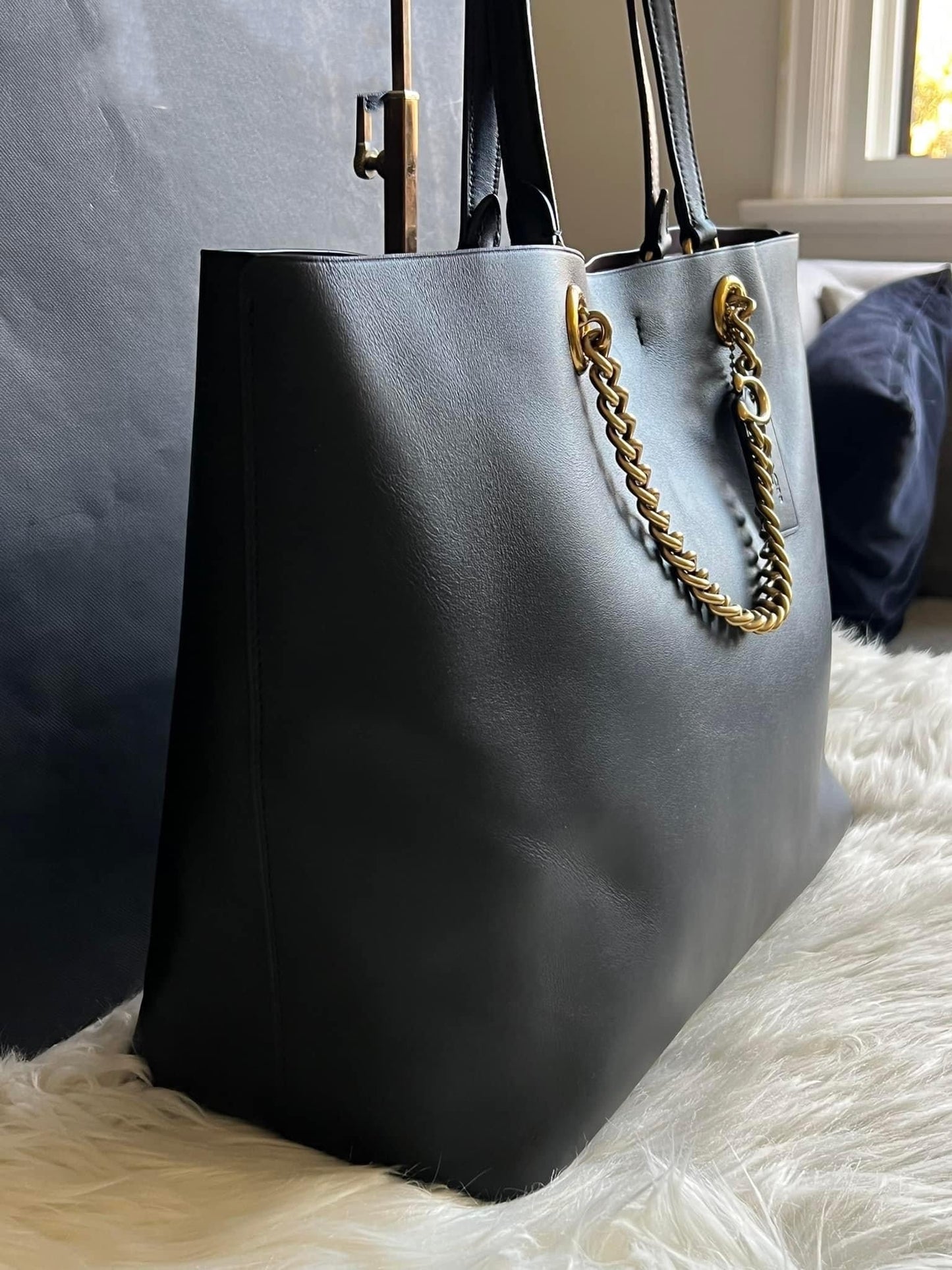 Coach Signature Chain Central Tote