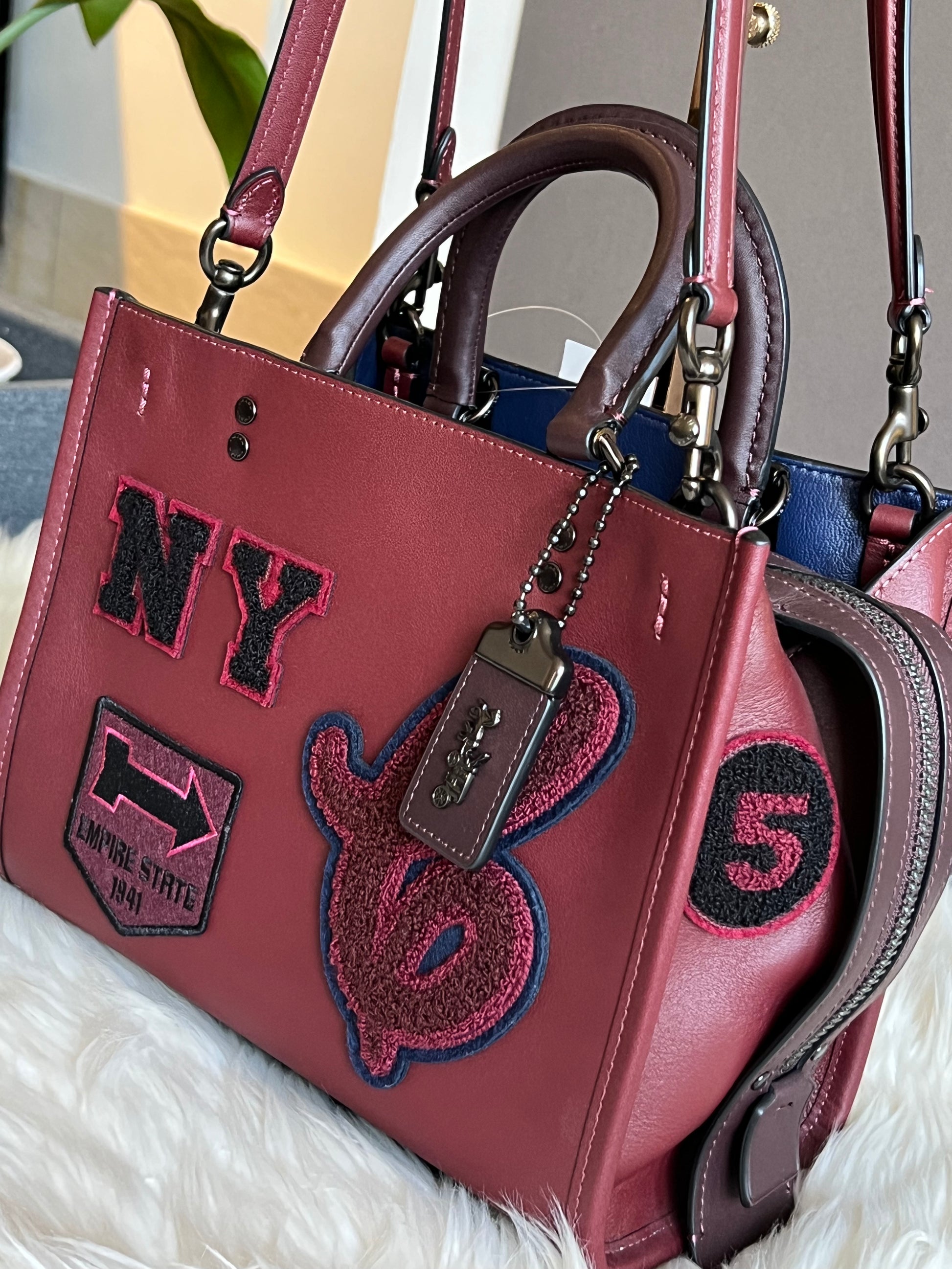Coach 2025 outlet rogue